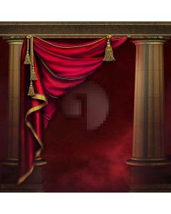 Court Style  Computer Printed Photography Backdrop XLX-065