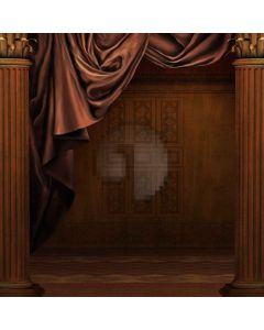 Brown Pillars  Computer Printed Photography Backdrop XLX-068