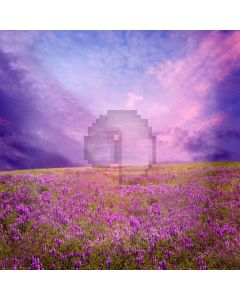 Romantic Flower Sea Computer Printed Photography Backdrop XLX-097