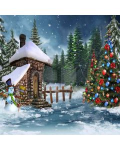 Outdoor Christmas Computer Printed Photography Backdrop XLX-115