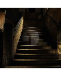 Deep Stairs Computer Printed Photography Backdrop XLX-130