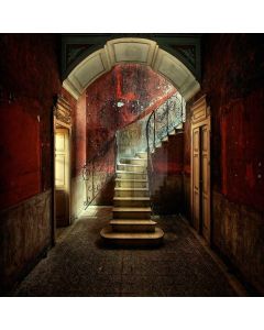 Indoor Stairs Computer Printed Photography Backdrop XLX-132