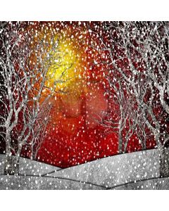 Snow  Fire  Computer Printed Photography Backdrop XLX-157