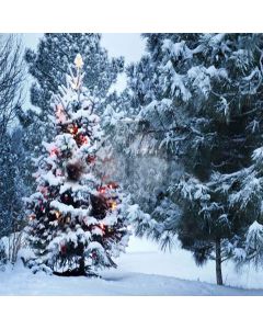 Heavy Snow  Computer Printed Photography Backdrop XLX-162