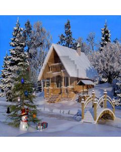 Snow Resort  Computer Printed Photography Backdrop XLX-163