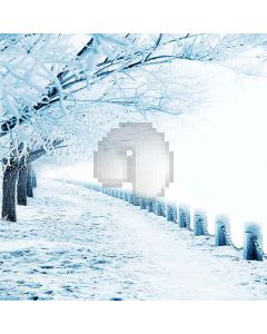 Snowy World Computer Printed Photography Backdrop XLX-175