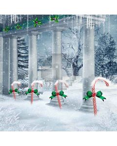 Fantasy Candy Computer Printed Photography Backdrop XLX-176