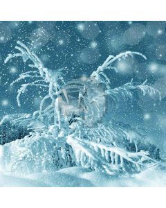 Pure Accumulated Snow Computer Printed Photography Backdrop XLX-192