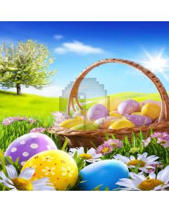 Various Eggs Computer Printed Photography Backdrop XLX-232