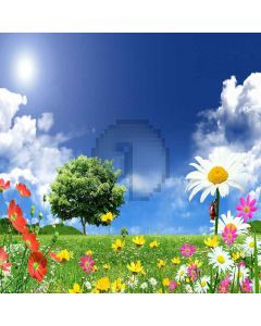 Beautiful Flowers Computer Printed Photography Backdrop XLX-246