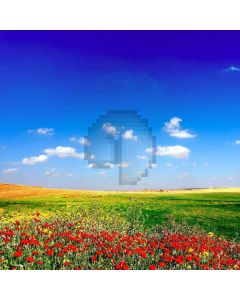 Fresh Sky Computer Printed Photography Backdrop XLX-248