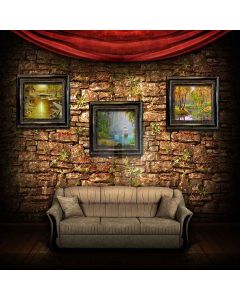 Indoor Sofa Computer Printed Photography Backdrop XLX-268