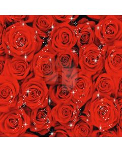 Romantic Roses Computer Printed Photography Backdrop XLX-282