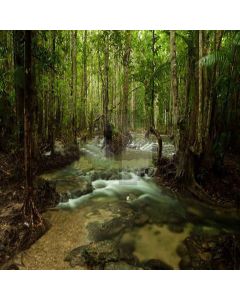 Dense Forest  Computer Printed Photography Backdrop XLX-294