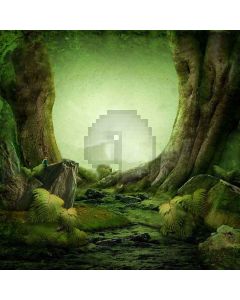 Demon Forest  Computer Printed Photography Backdrop XLX-298