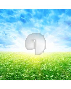 Blue Sky And Grass  Computer Printed Photography Backdrop XLX-302