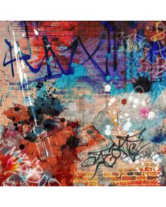 Abstract Graffiti Computer Printed Photography Backdrop XLX-308