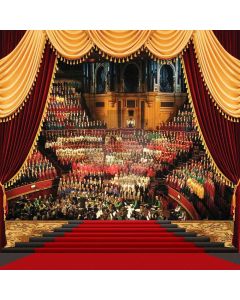 Gorgeous Stage  Computer Printed Photography Backdrop XLX-330