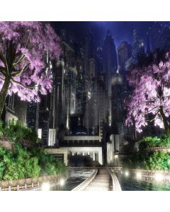 Charming Night  Computer Printed Photography Backdrop XLX-345