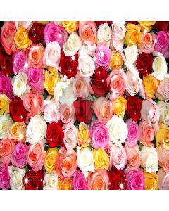 Romantic Flowers Computer Printed Photography Backdrop XLX-394