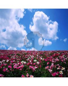 Broad Flower Sea Computer Printed Photography Backdrop XLX-396