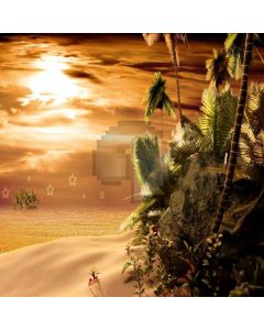 Sunset Views Computer Printed Photography Backdrop XLX-405