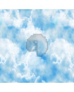 Fresh Sky Computer Printed Photography Backdrop XLX-423