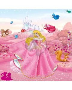 Cartoon Characters Computer Printed Photography Backdrop XLX-501