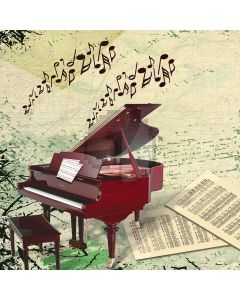 Beat Notes Computer Printed Photography Backdrop XLX-509
