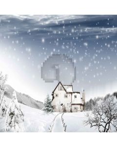 Cold Winter  Computer Printed Photography Backdrop XLX-568