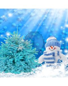 Cute Snowman Computer Printed Photography Backdrop XLX-590