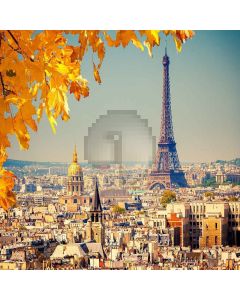 City View Computer Printed Photography Backdrop XLX-606