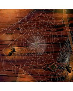 Precise Cobwebs Computer Printed Photography Backdrop XLX-619