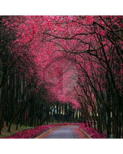 Flower Trees Computer Printed Photography Backdrop XLX-630