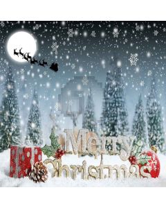 Snow Scene Computer Printed Photography Backdrop XLX-672