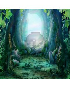 Forest Light Stone Computer Printed Photography Backdrop XYZ-884