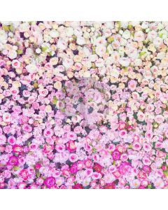 Wallpaper Flower Computer Printed Photography Backdrop XYZ-887
