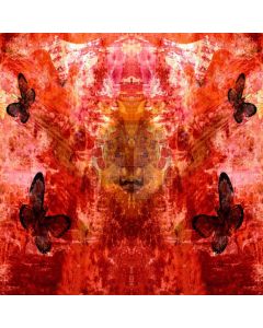 Red Butterfly Computer Printed Photography Backdrop XYZ-961