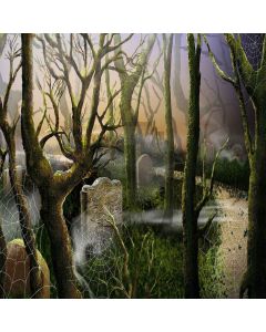Fantacy Forest Digital Printed Photography Backdrop YHA-025
