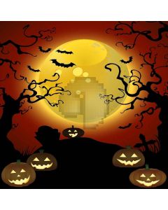 Halloween Celebration Digital Printed Photography Backdrop YHA-037