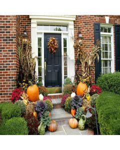 Holloween Celebration Digital Printed Photography Backdrop YHA-064