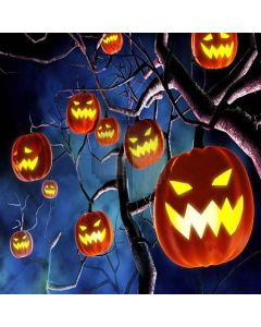 Mysterious Halloween Digital Printed Photography Backdrop YHA-068