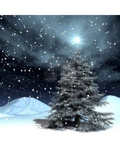 Charming Night Digital Printed Photography Backdrop YHA-070