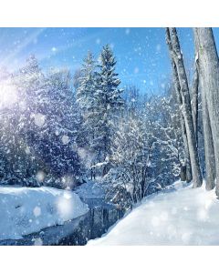 Clear Morning Digital Printed Photography Backdrop YHA-071