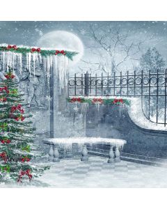 Nice Christmas Tree Digital Printed Photography Backdrop YHA-079