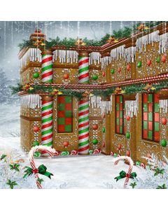 The Colourfulness Of Christmas Digital Printed Photography Backdrop YHA-080