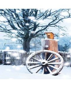 Charming Snow Landscape Digital Printed Photography Backdrop YHA-081