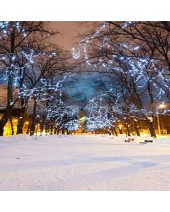 Quiet Snow Road Digital Printed Photography Backdrop YHA-094