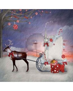 Chritmas Candy Digital Printed Photography Backdrop YHA-096