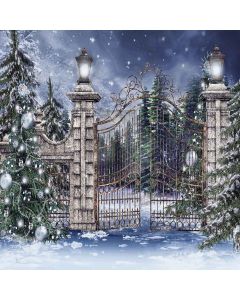 Shiny Snow Digital Printed Photography Backdrop YHA-097